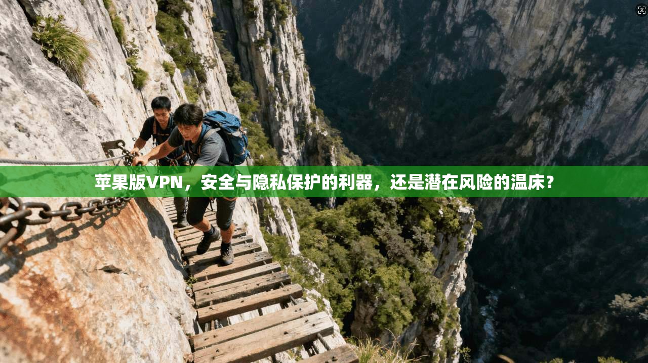苹果版VPN，安全与隐私保护的利器，还是潜在风险的温床？