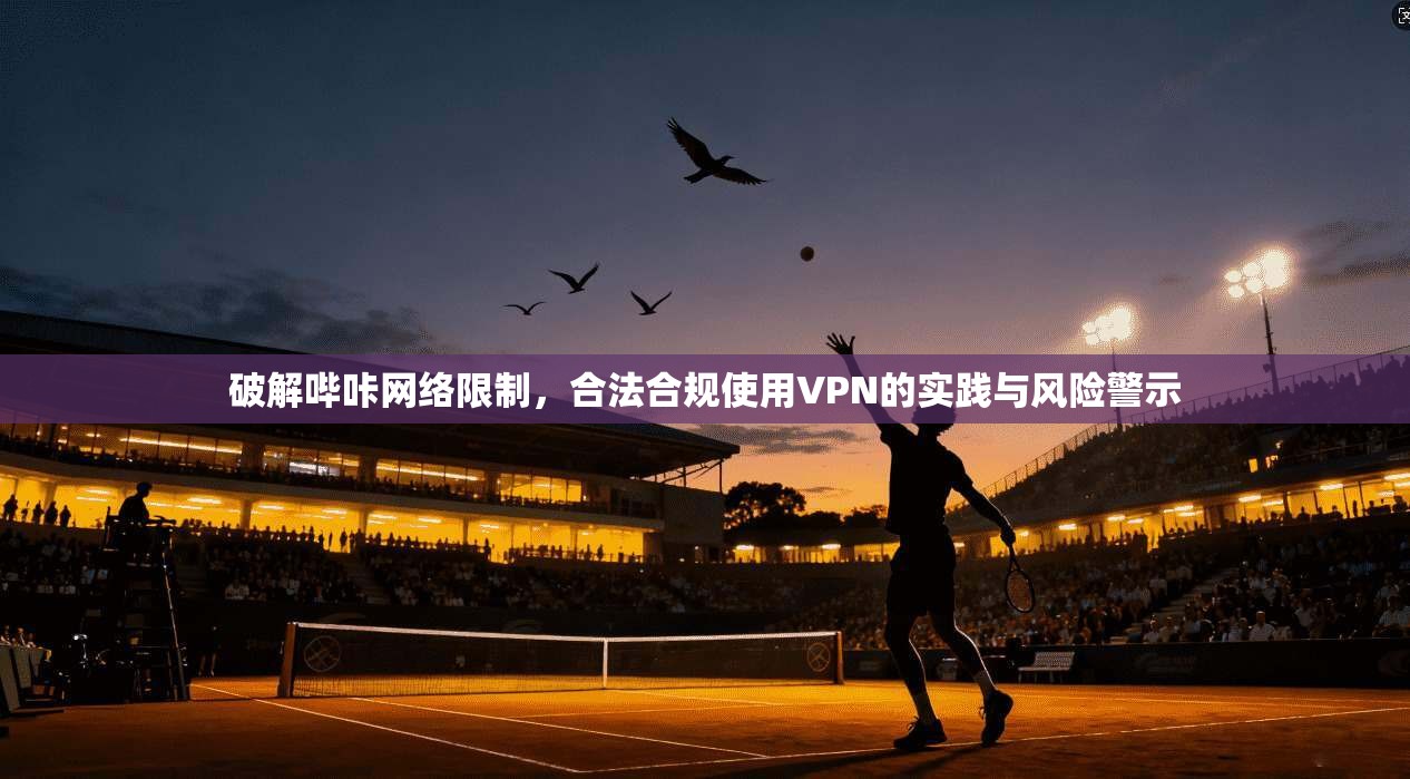 破解哔咔网络限制，合法合规使用VPN的实践与风险警示