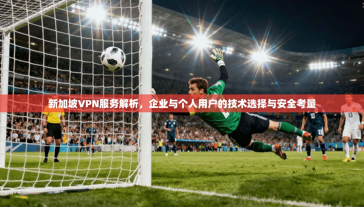 新加坡VPN服务解析，企业与个人用户的技术选择与安全考量