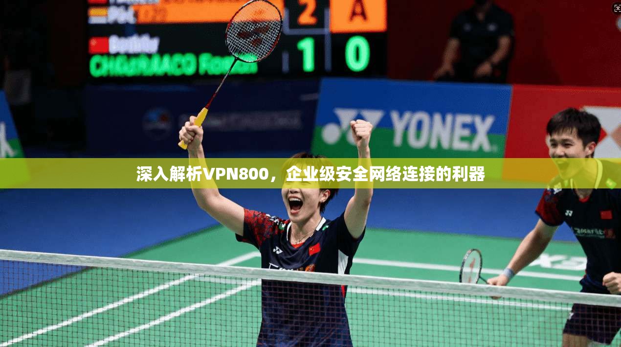 深入解析VPN800,企业级安全网络连接的利器