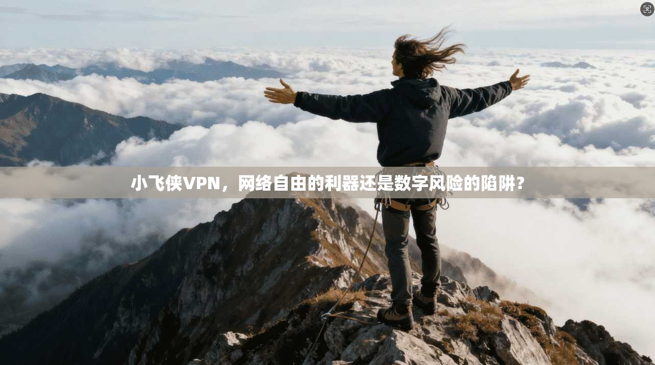 小飞侠VPN,网络自由的利器还是数字风险的陷阱?