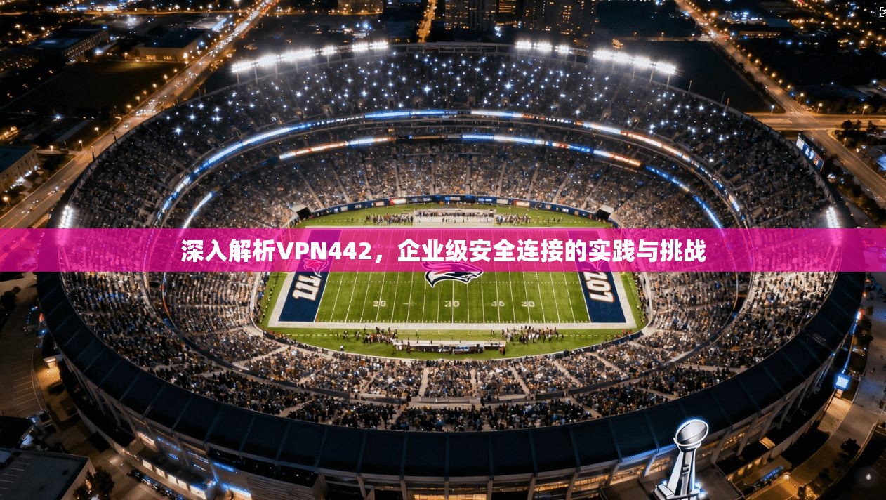 深入解析VPN442，企业级安全连接的实践与挑战