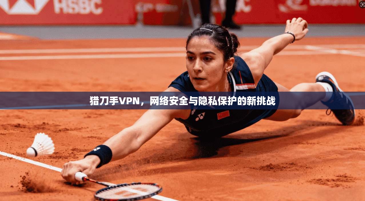 猎刀手VPN，网络安全与隐私保护的新挑战
