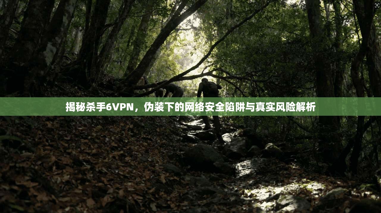 揭秘杀手6VPN，伪装下的网络安全陷阱与真实风险解析