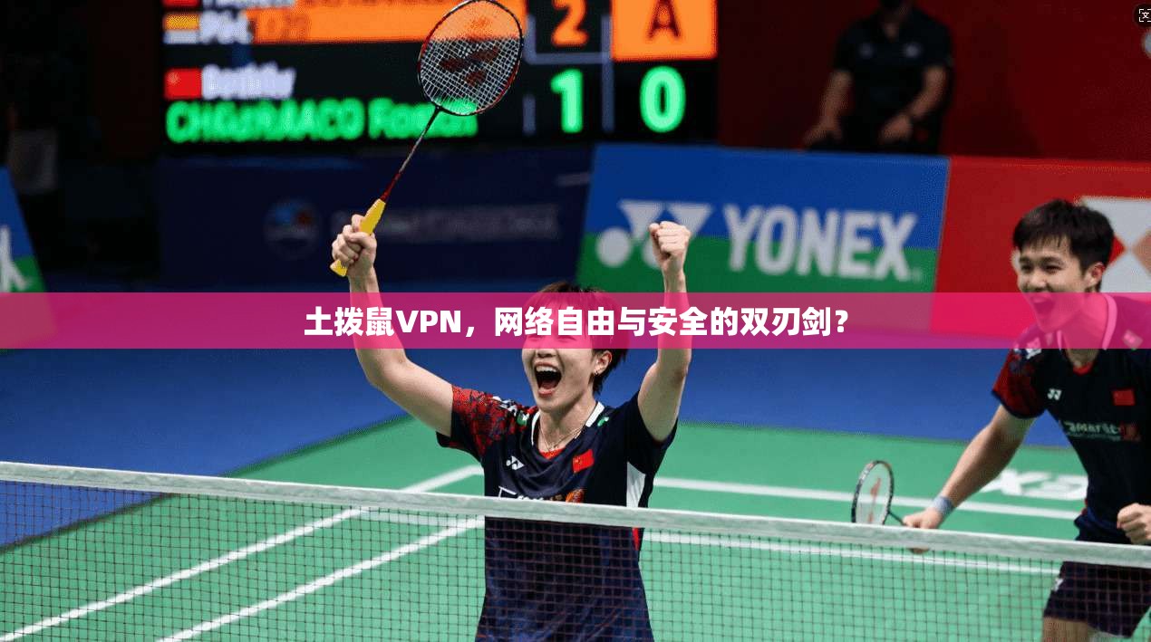 土拨鼠VPN，网络自由与安全的双刃剑？