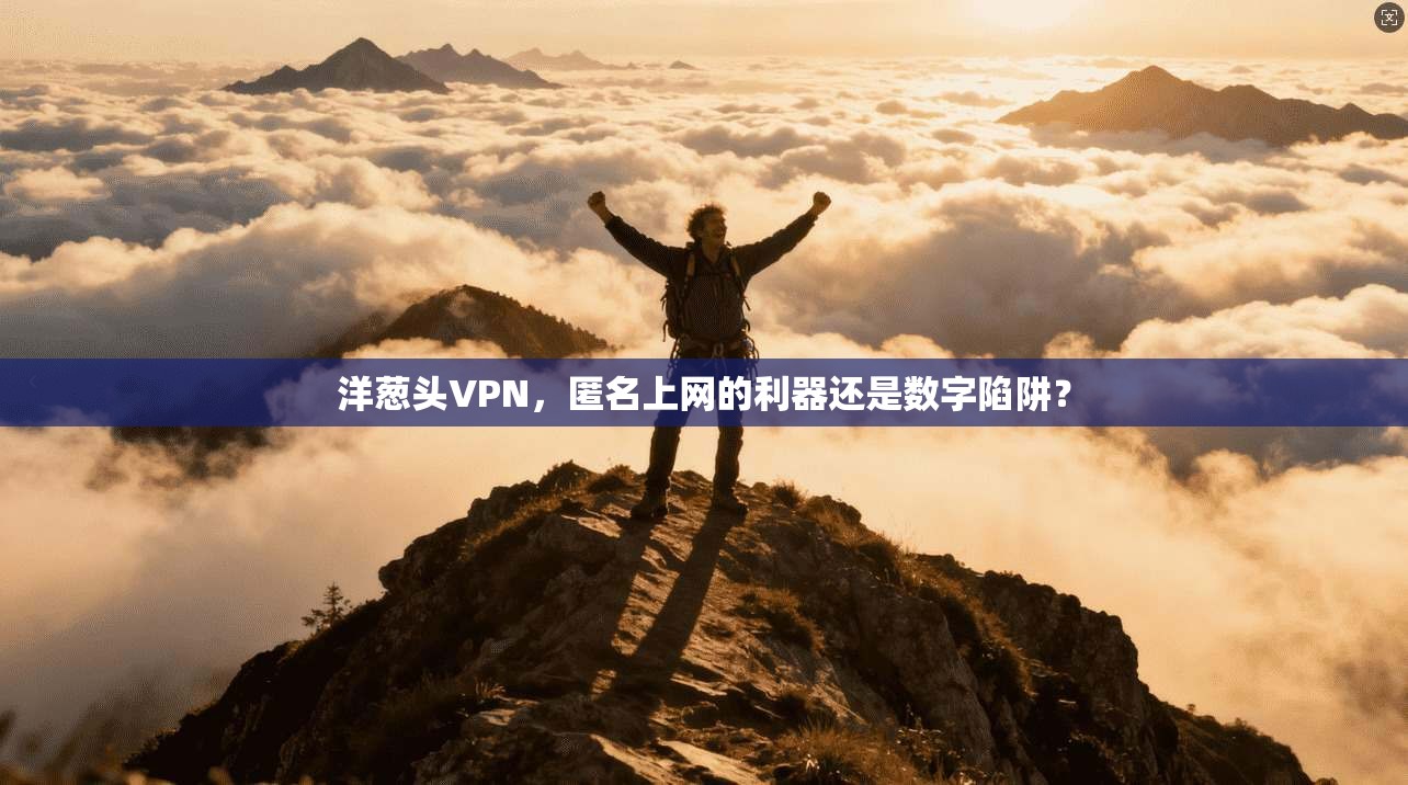 洋葱头VPN,匿名上网的利器还是数字陷阱?