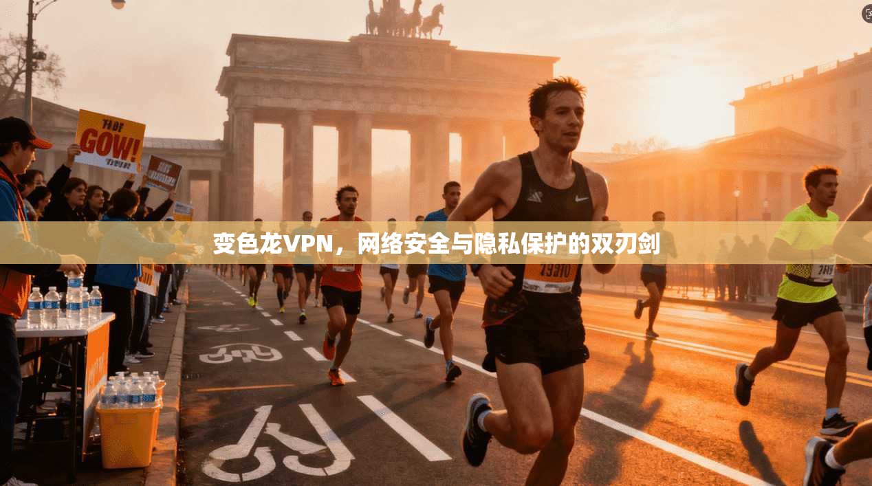 变色龙VPN，网络安全与隐私保护的双刃剑