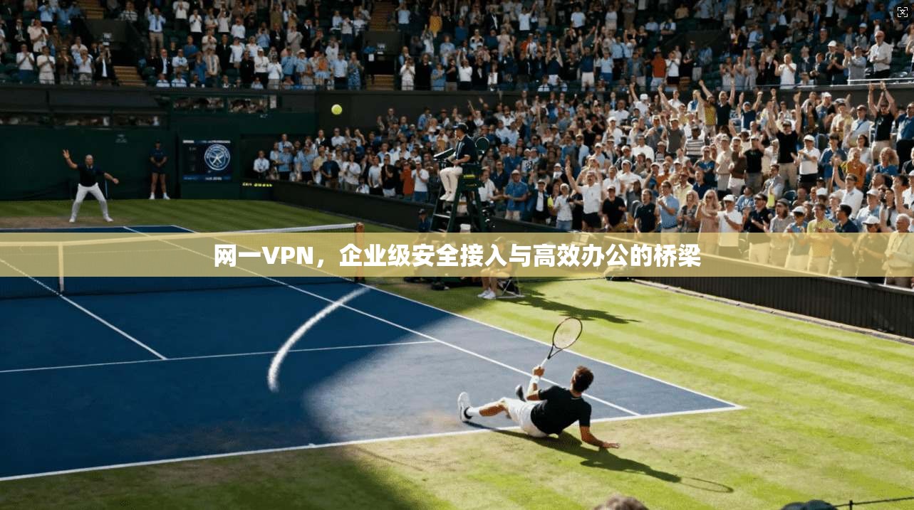网一VPN，企业级安全接入与高效办公的桥梁