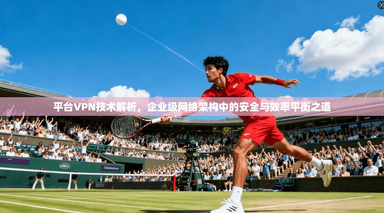 平台VPN技术解析，企业级网络架构中的安全与效率平衡之道