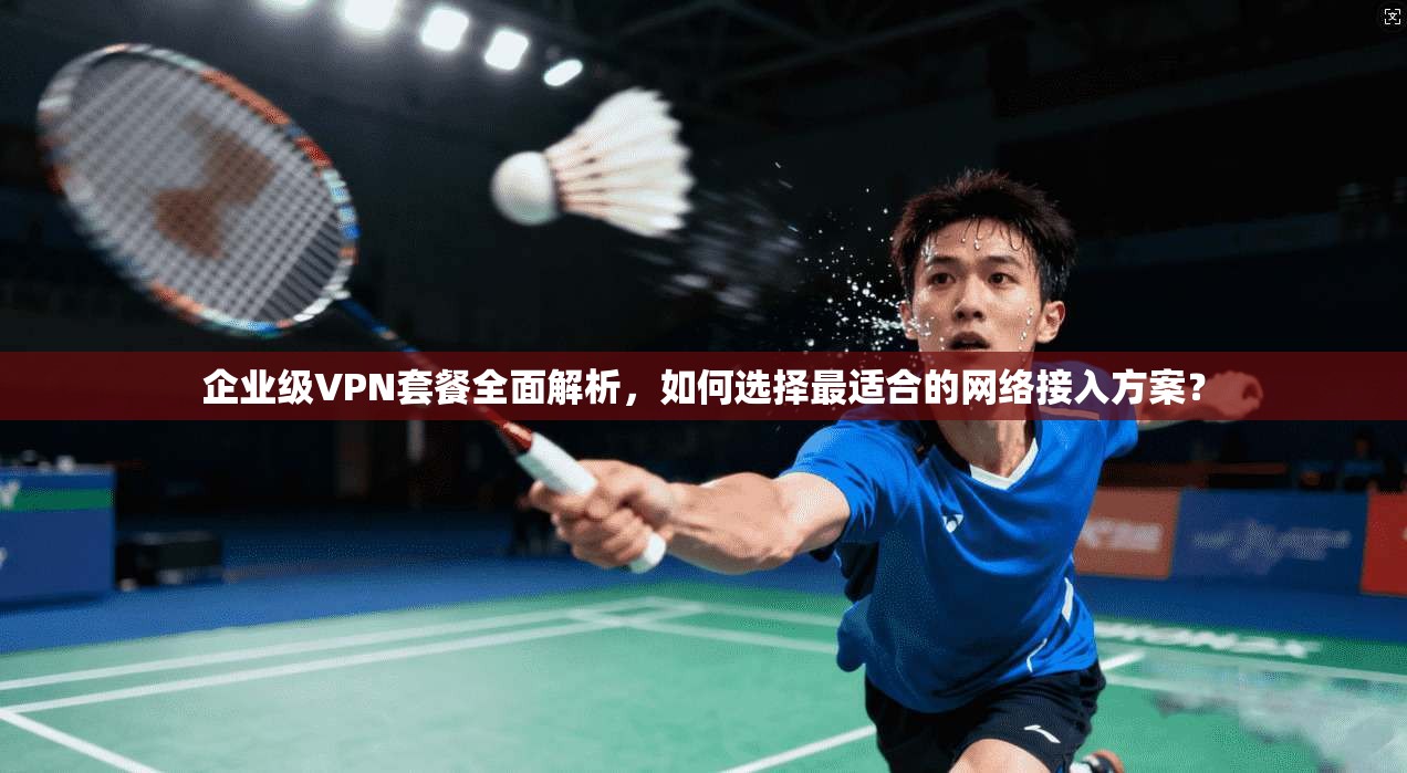 企业级VPN套餐全面解析，如何选择最适合的网络接入方案？