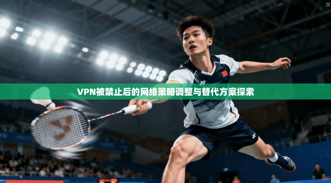 VPN被禁止后的网络策略调整与替代方案探索