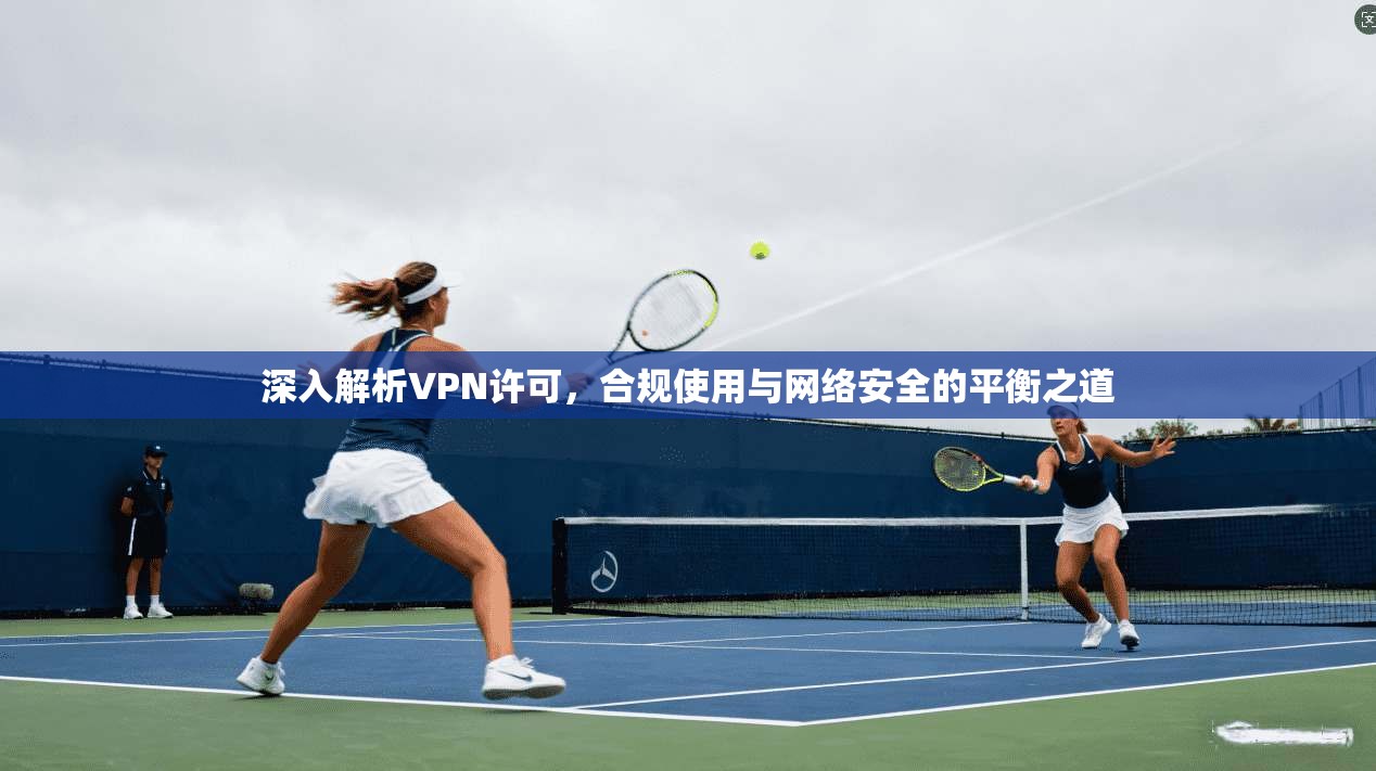 深入解析VPN许可，合规使用与网络安全的平衡之道