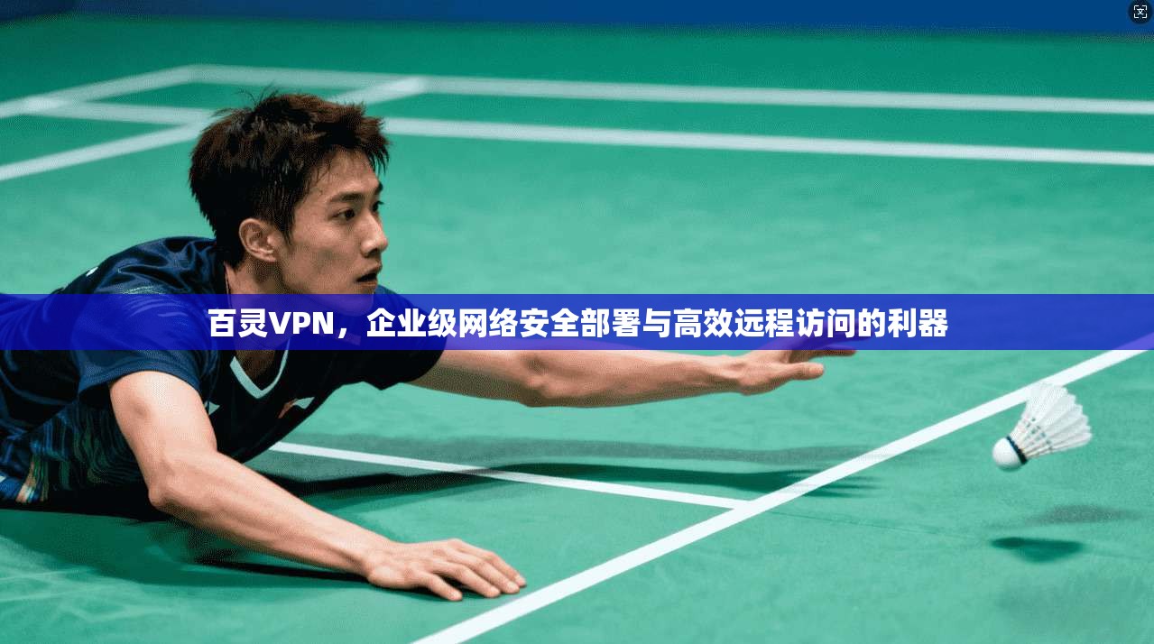 百灵VPN，企业级网络安全部署与高效远程访问的利器