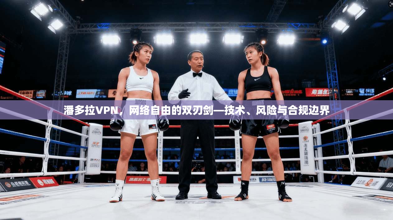潘多拉VPN，网络自由的双刃剑—技术、风险与合规边界