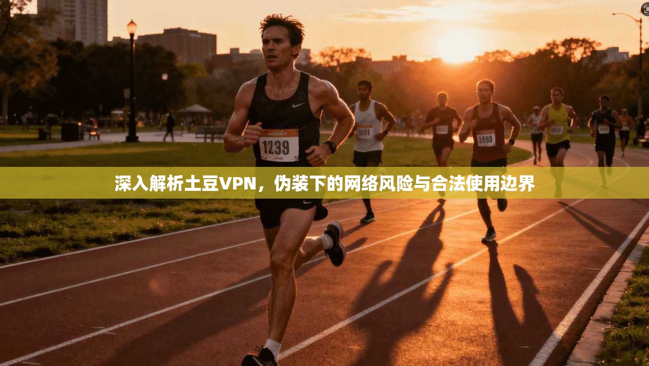 深入解析土豆VPN，伪装下的网络风险与合法使用边界