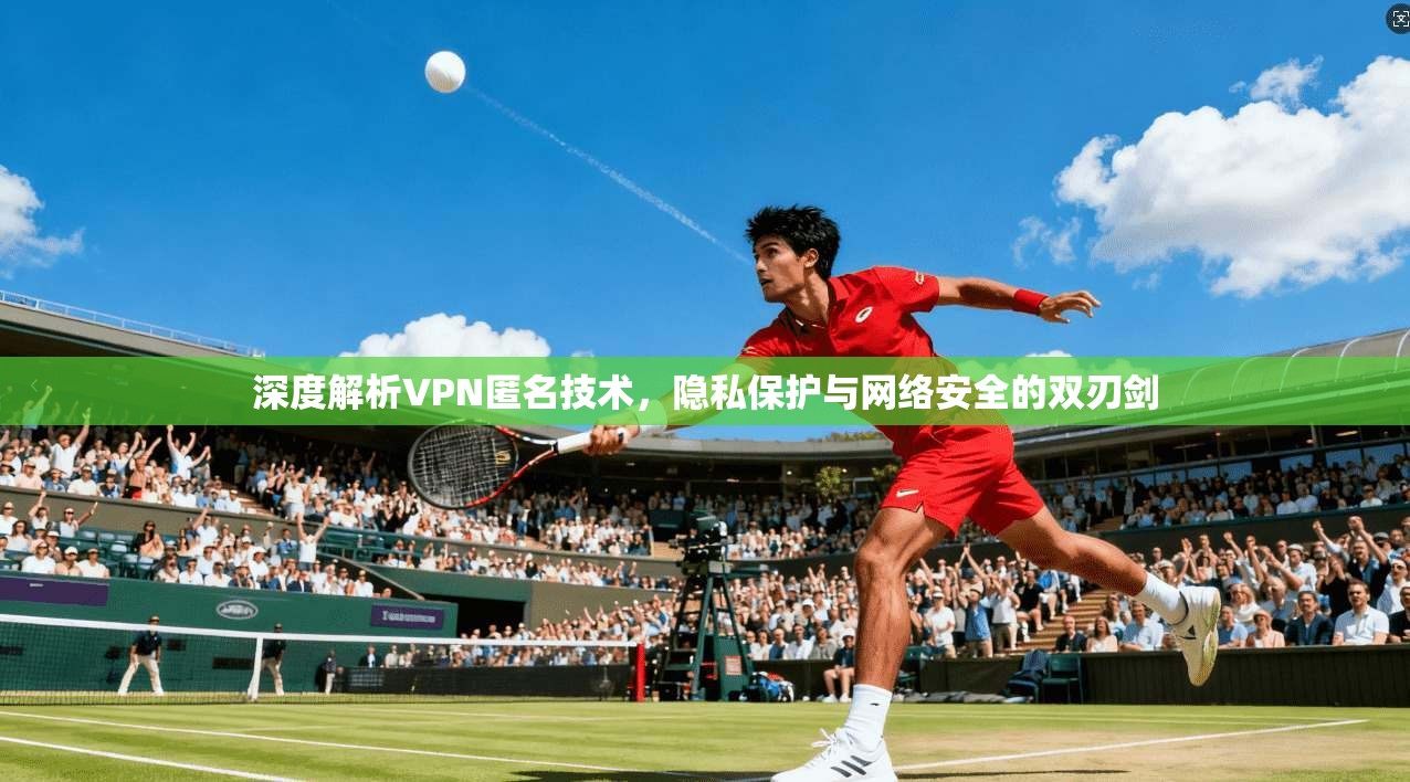 深度解析VPN匿名技术，隐私保护与网络安全的双刃剑
