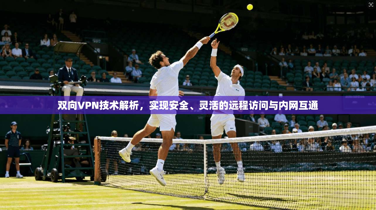 双向VPN技术解析，实现安全、灵活的远程访问与内网互通
