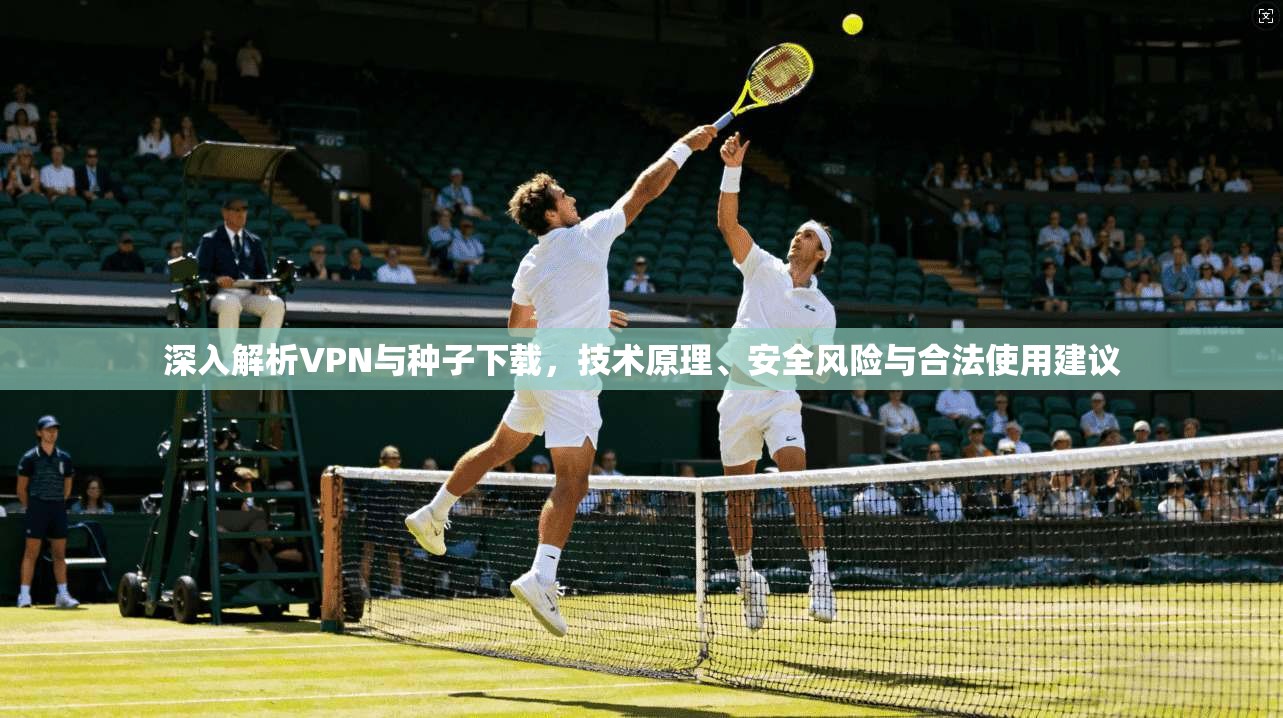 深入解析VPN与种子下载，技术原理、安全风险与合法使用建议