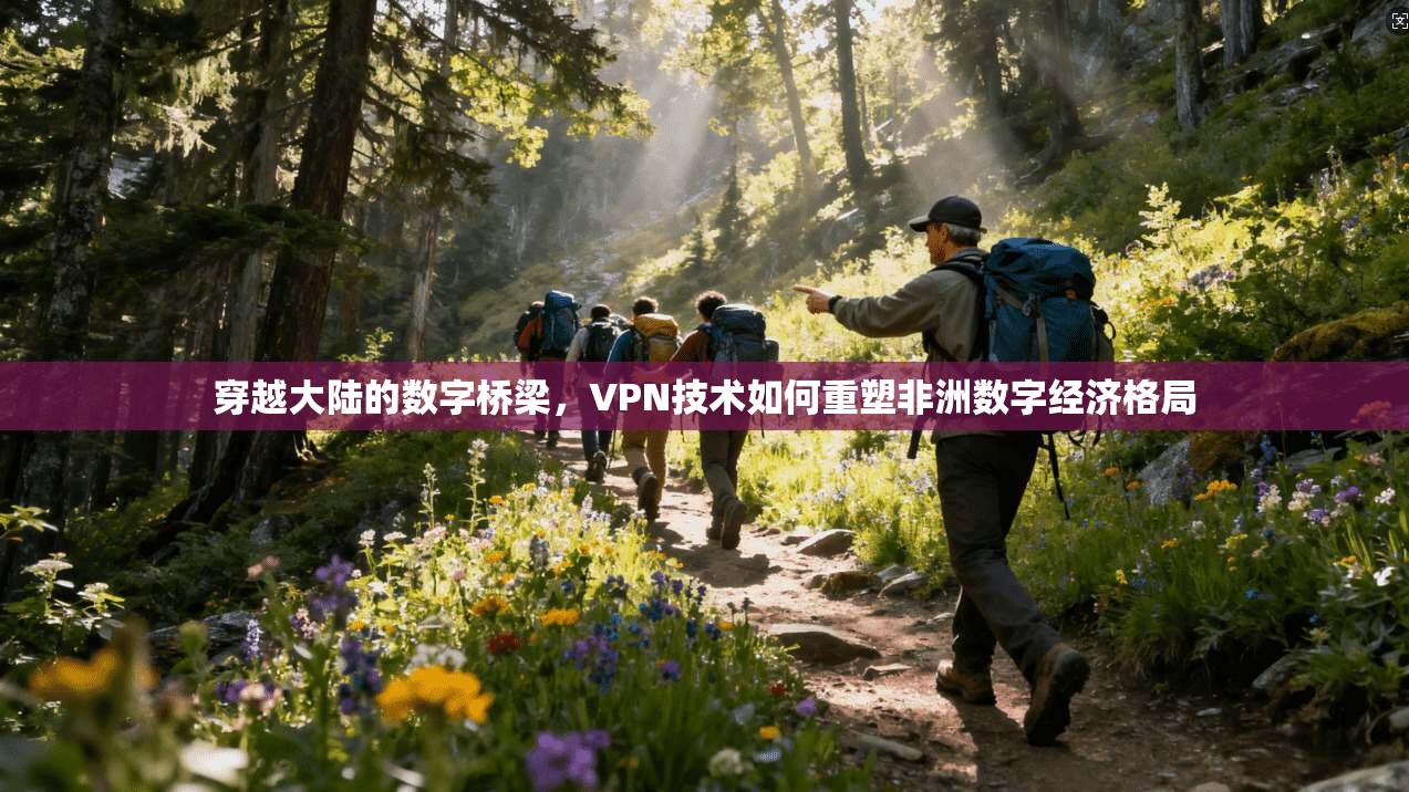 穿越大陆的数字桥梁，VPN技术如何重塑非洲数字经济格局