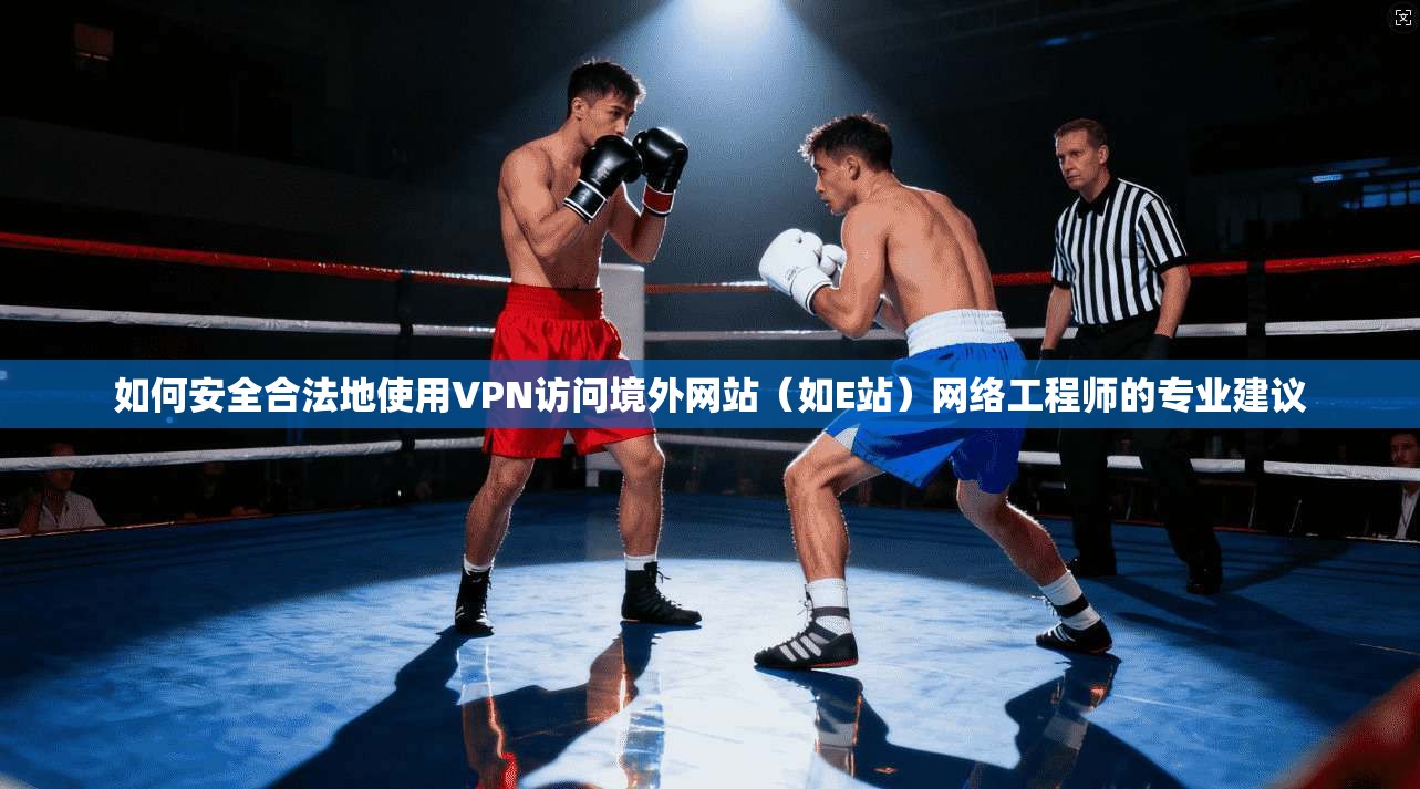 如何安全合法地使用VPN访问境外网站（如E站）网络工程师的专业建议