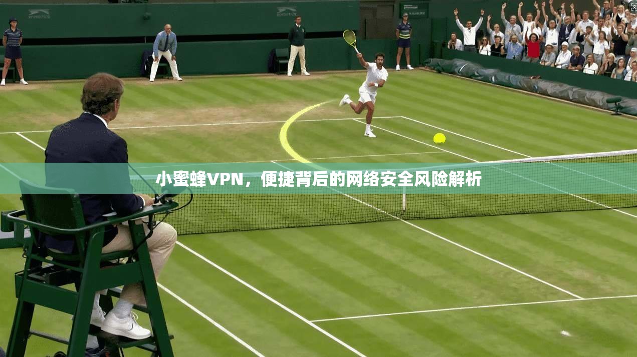 小蜜蜂VPN，便捷背后的网络安全风险解析