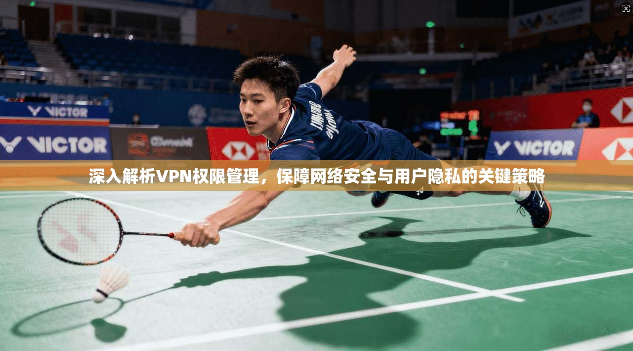 深入解析VPN权限管理,保障网络安全与用户隐私的关键策略