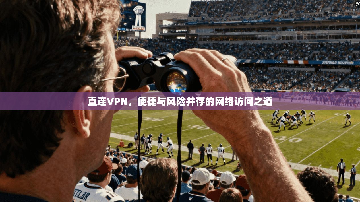 直连VPN,便捷与风险并存的网络访问之道