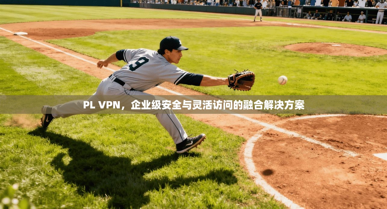 PL VPN，企业级安全与灵活访问的融合解决方案