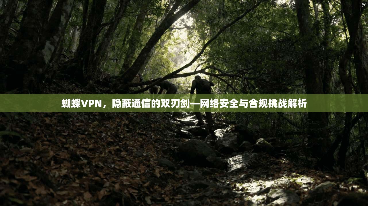 蝴蝶VPN，隐蔽通信的双刃剑—网络安全与合规挑战解析