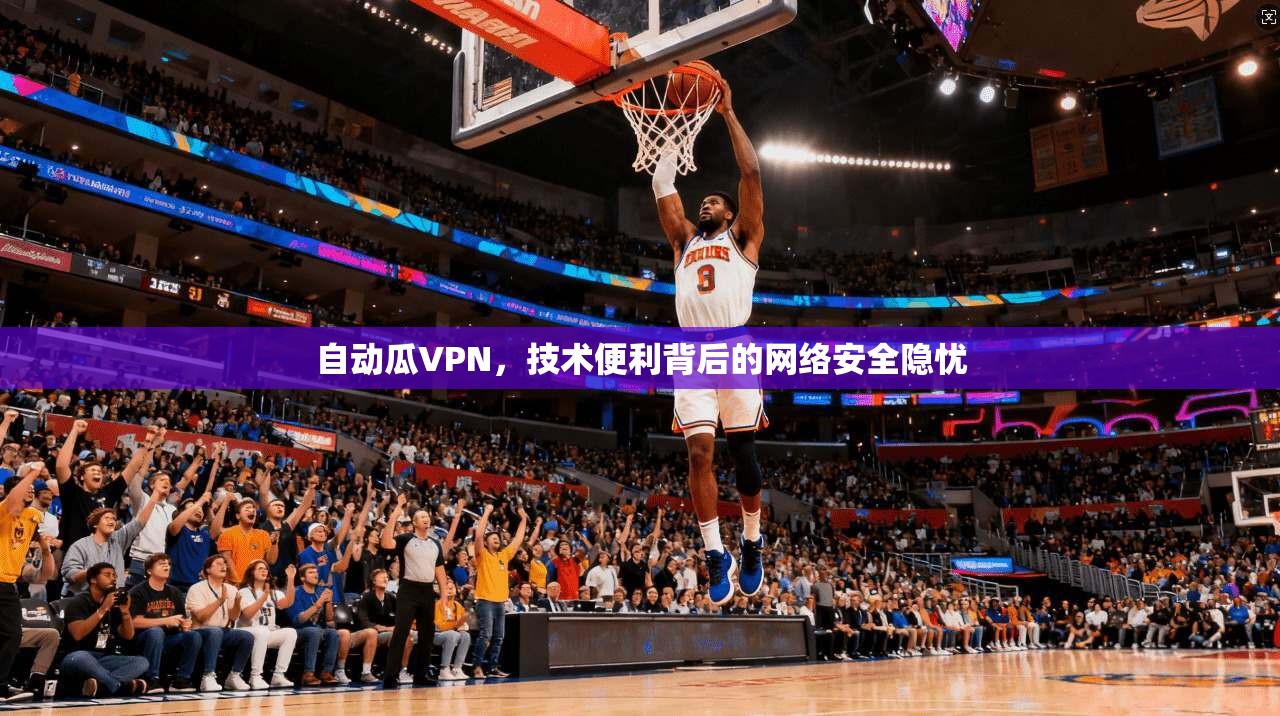 自动瓜VPN，技术便利背后的网络安全隐忧