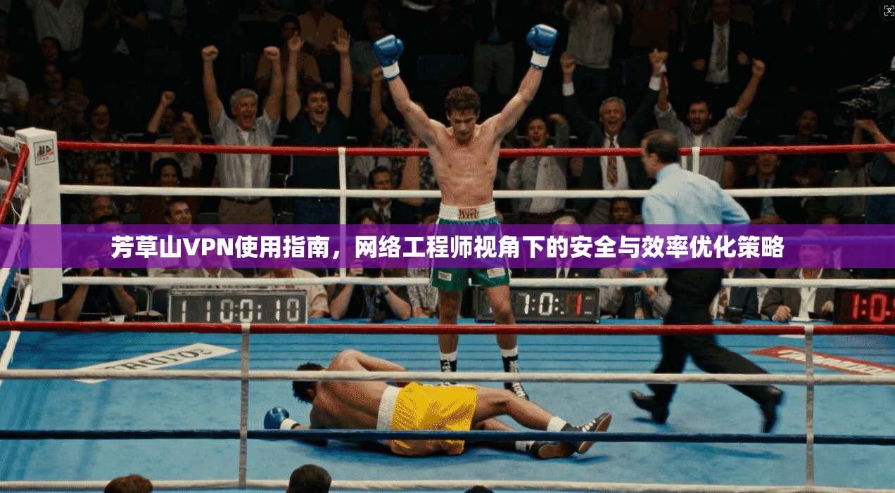 芳草山VPN使用指南，网络工程师视角下的安全与效率优化策略
