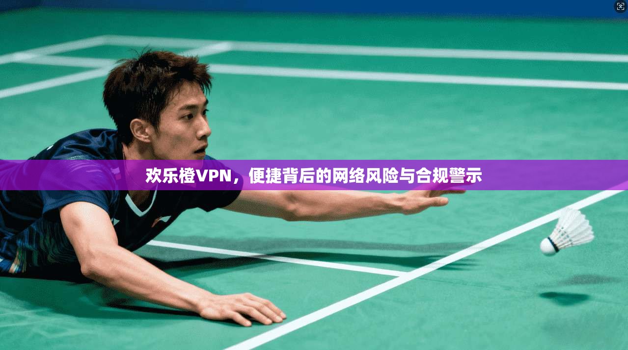 欢乐橙VPN,便捷背后的网络风险与合规警示