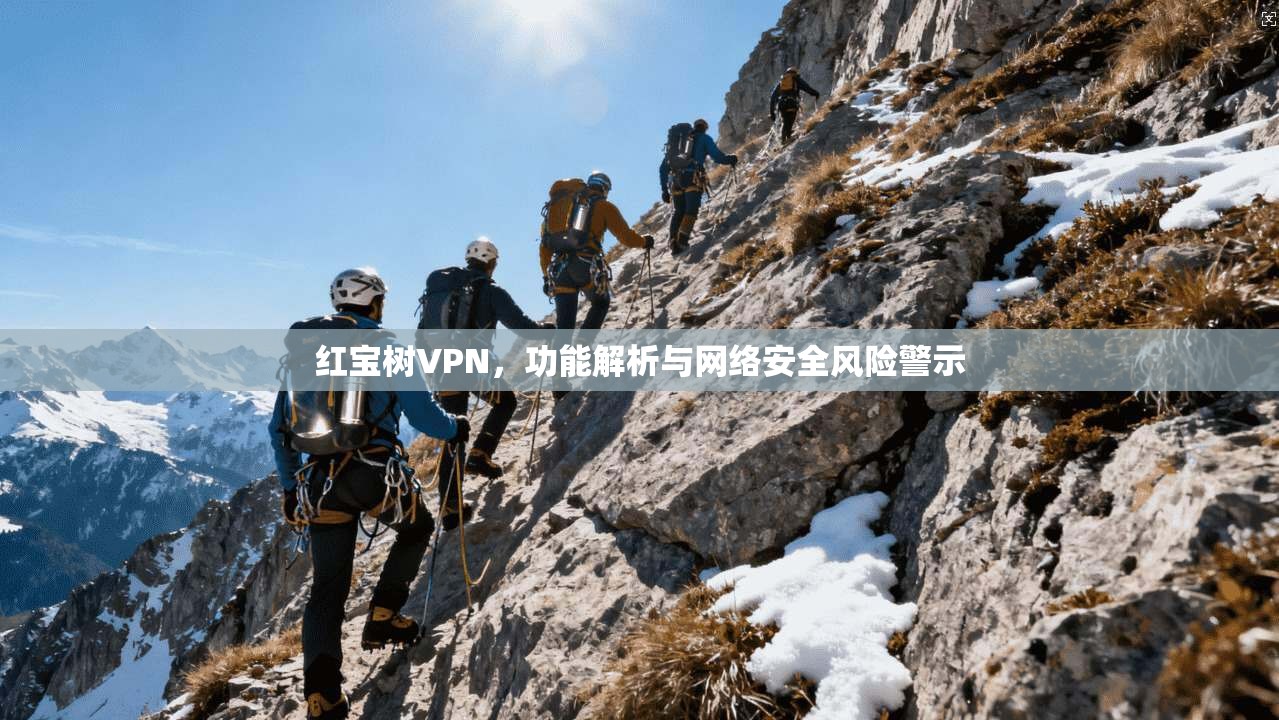 红宝树VPN，功能解析与网络安全风险警示