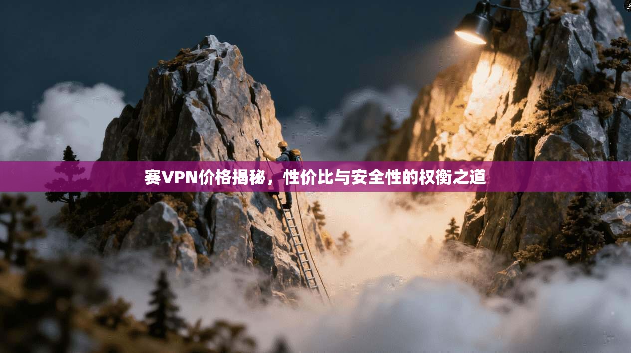赛VPN价格揭秘,性价比与安全性的权衡之道