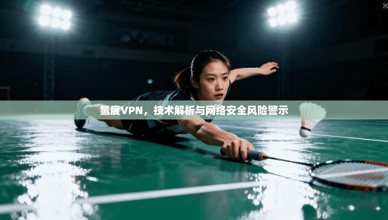 氢度VPN,技术解析与网络安全风险警示