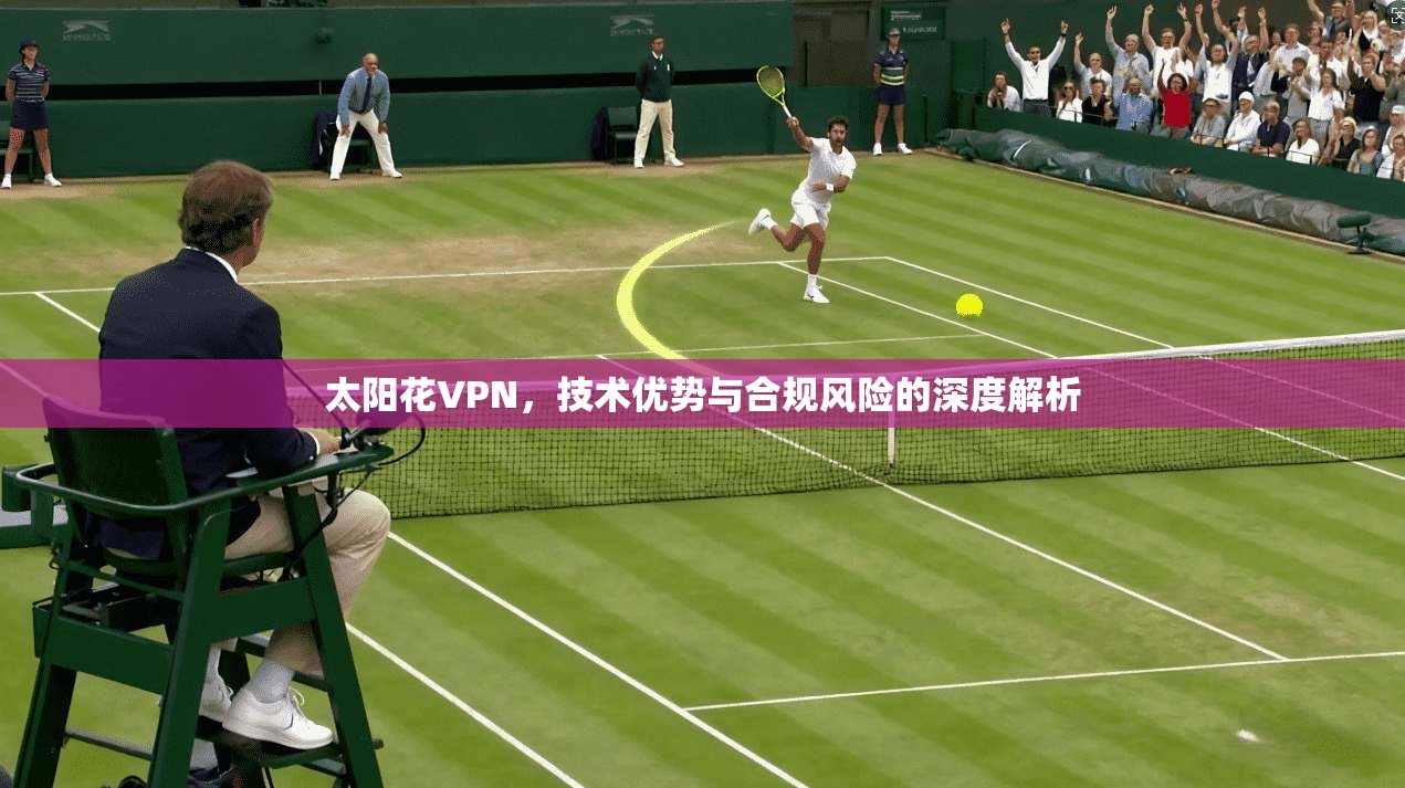 太阳花VPN,技术优势与合规风险的深度解析