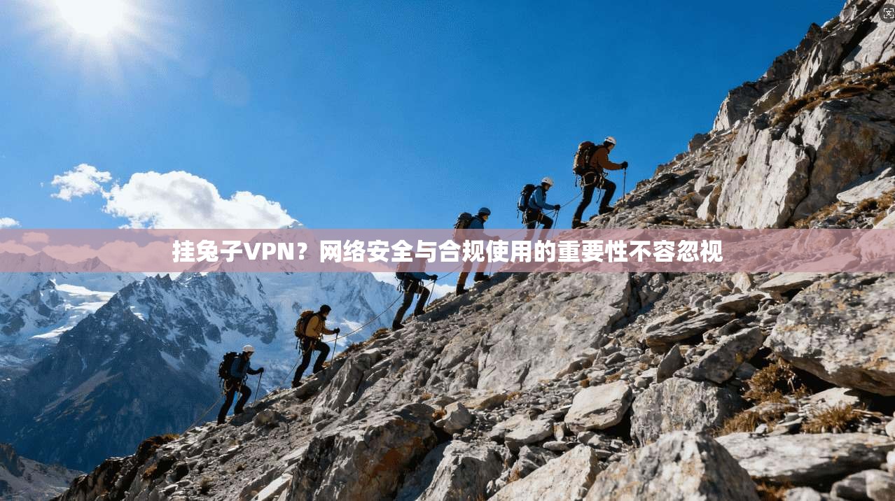 挂兔子VPN？网络安全与合规使用的重要性不容忽视