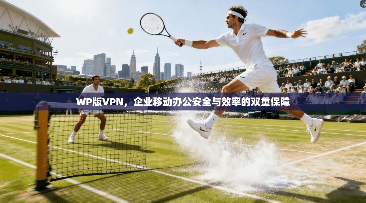 WP版VPN，企业移动办公安全与效率的双重保障