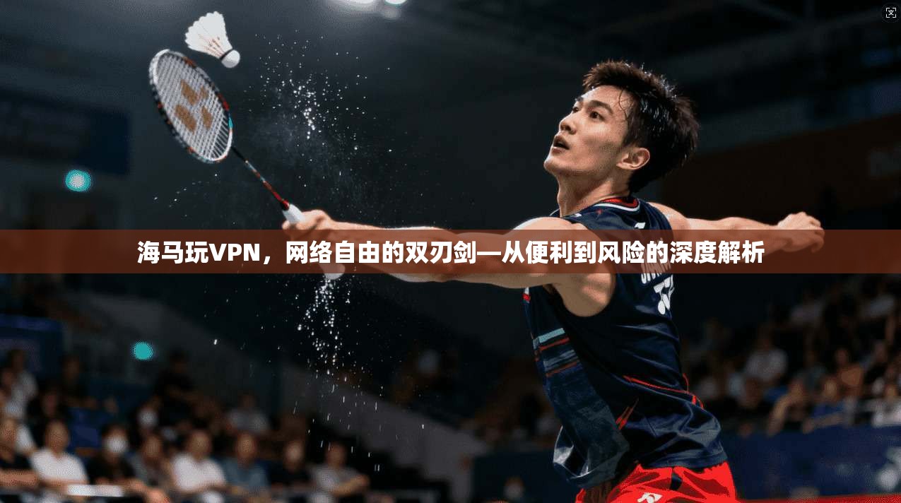 海马玩VPN，网络自由的双刃剑—从便利到风险的深度解析