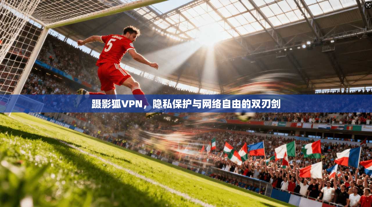 蹑影狐VPN,隐私保护与网络自由的双刃剑
