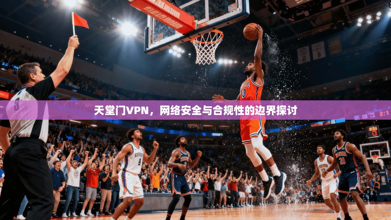 天堂门VPN，网络安全与合规性的边界探讨