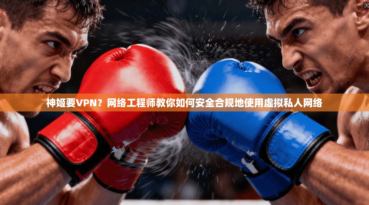 神姬要VPN？网络工程师教你如何安全合规地使用虚拟私人网络