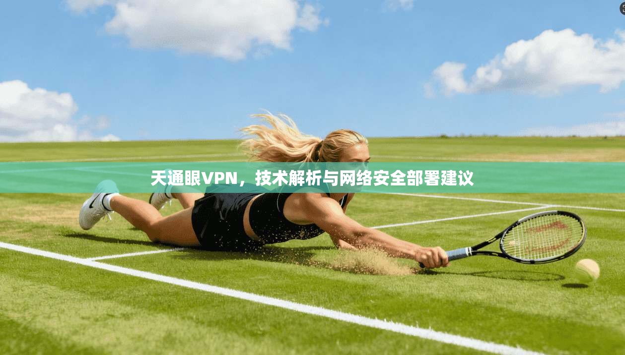 天通眼VPN，技术解析与网络安全部署建议