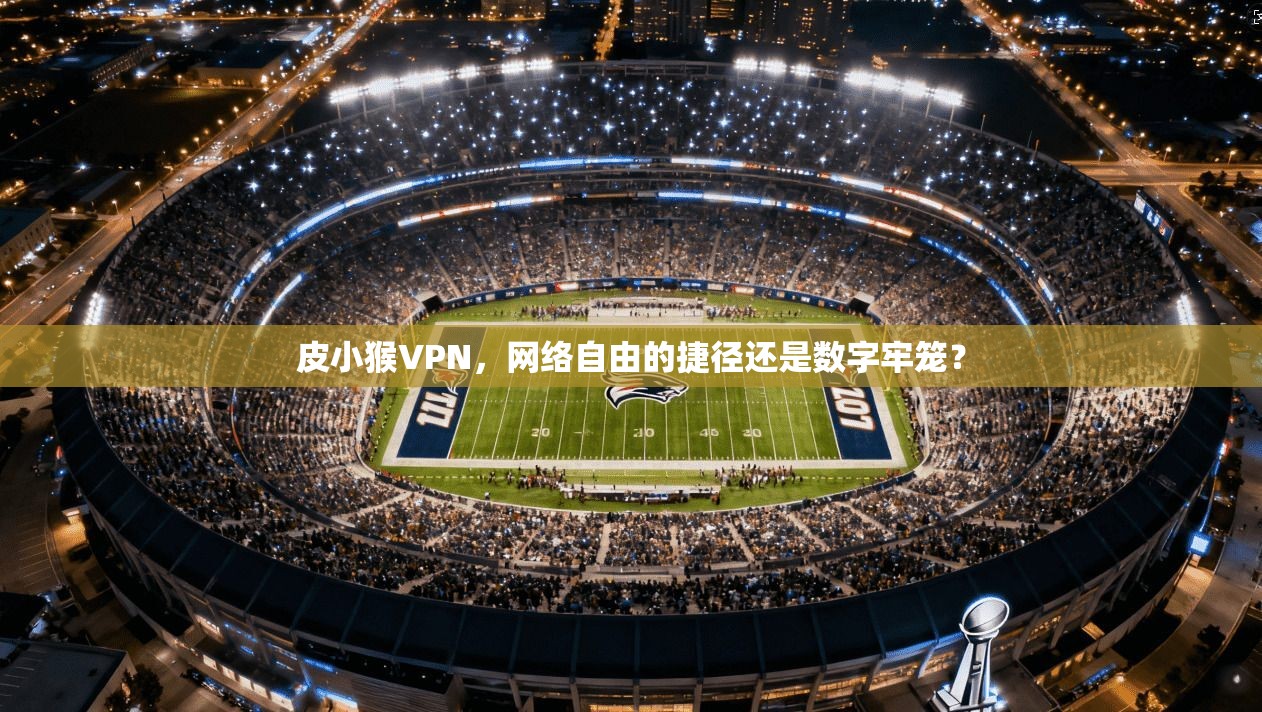 皮小猴VPN,网络自由的捷径还是数字牢笼?