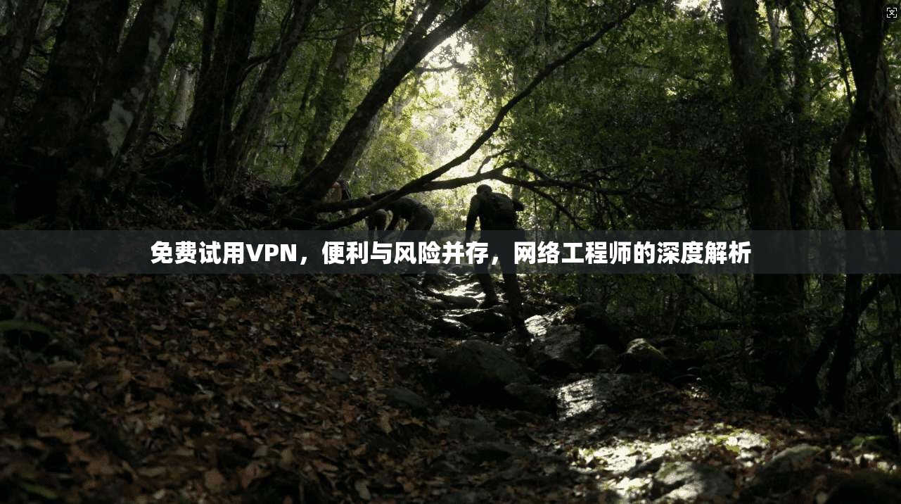 免费试用VPN，便利与风险并存，网络工程师的深度解析
