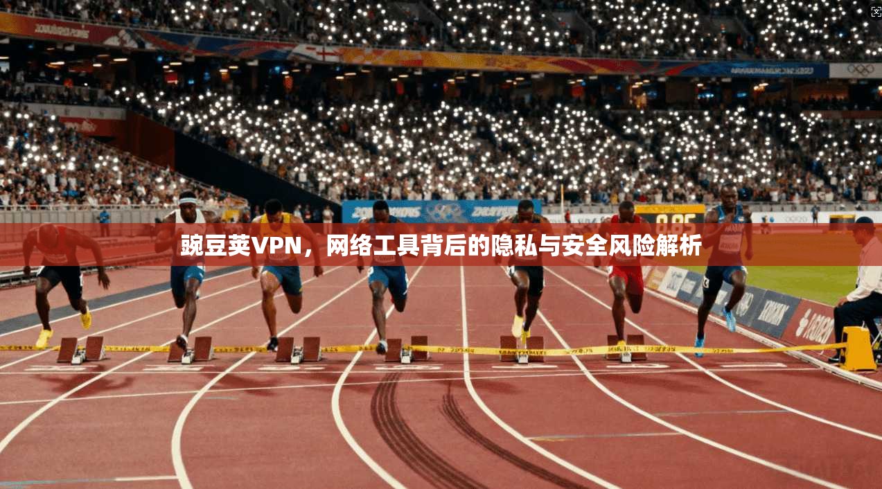 豌豆荚VPN,网络工具背后的隐私与安全风险解析