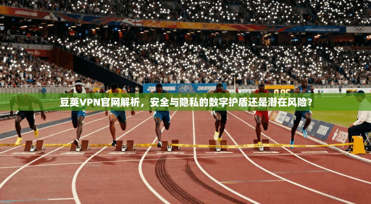 豆荚VPN官网解析，安全与隐私的数字护盾还是潜在风险？