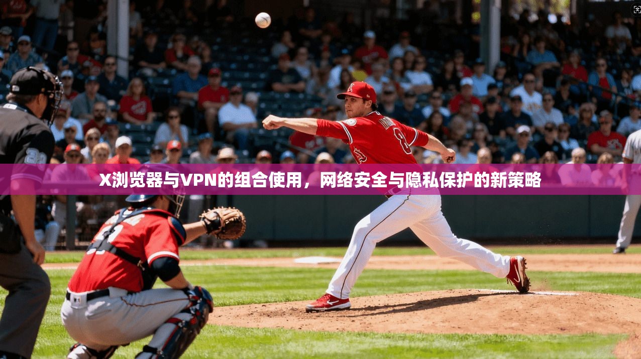 X浏览器与VPN的组合使用，网络安全与隐私保护的新策略