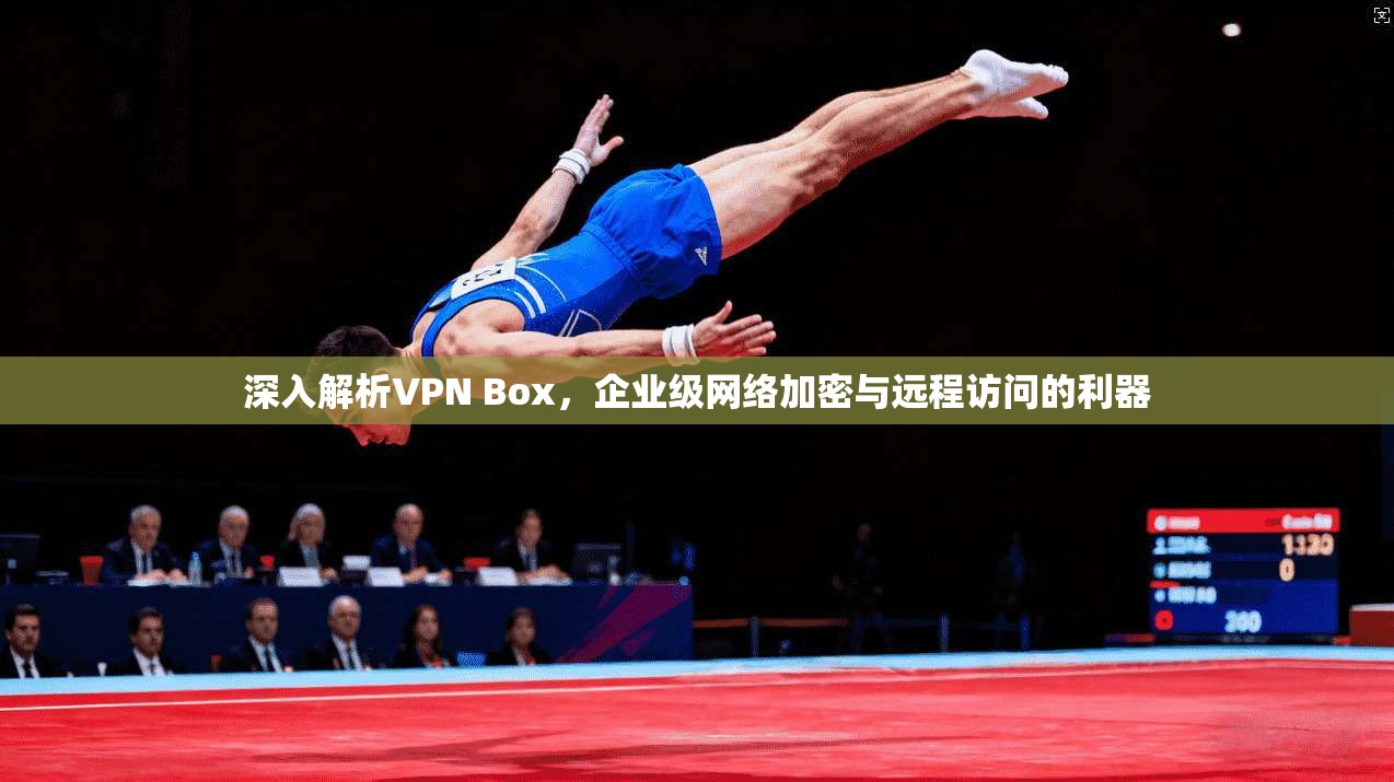 深入解析VPN Box，企业级网络加密与远程访问的利器
