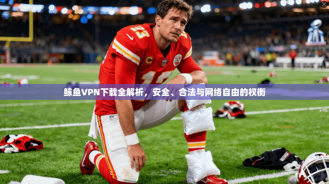 鲸鱼VPN下载全解析，安全、合法与网络自由的权衡
